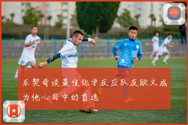 东契奇谈最佳化学反应队友欧文成为他心目中的首选