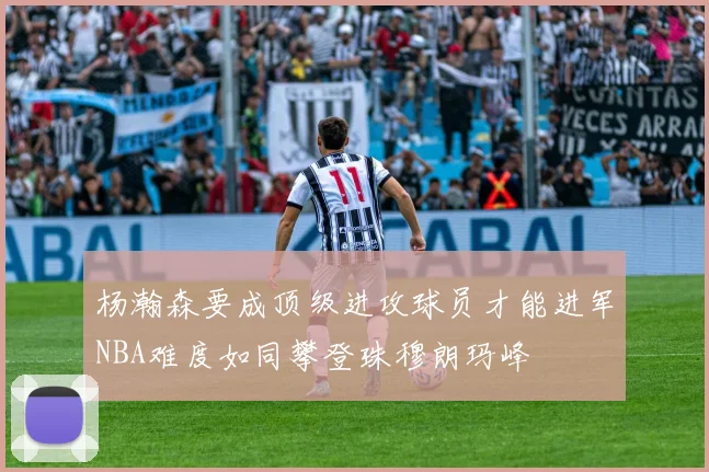 杨瀚森要成顶级进攻球员才能进军NBA难度如同攀登珠穆朗玛峰