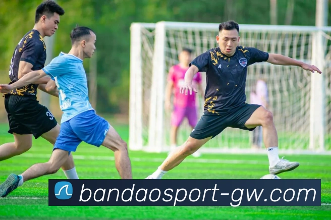 半岛体育APP 高清赛事图